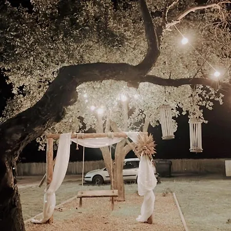 Hacienda & Krolicza Nora * Zatory