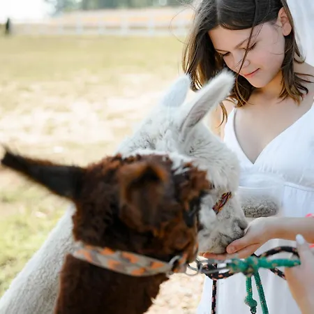 Bauernhof Hacienda & Krolicza Nora