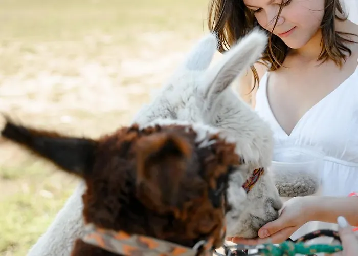 Alojamento de Turismo Rural Hacienda&królicza Nora